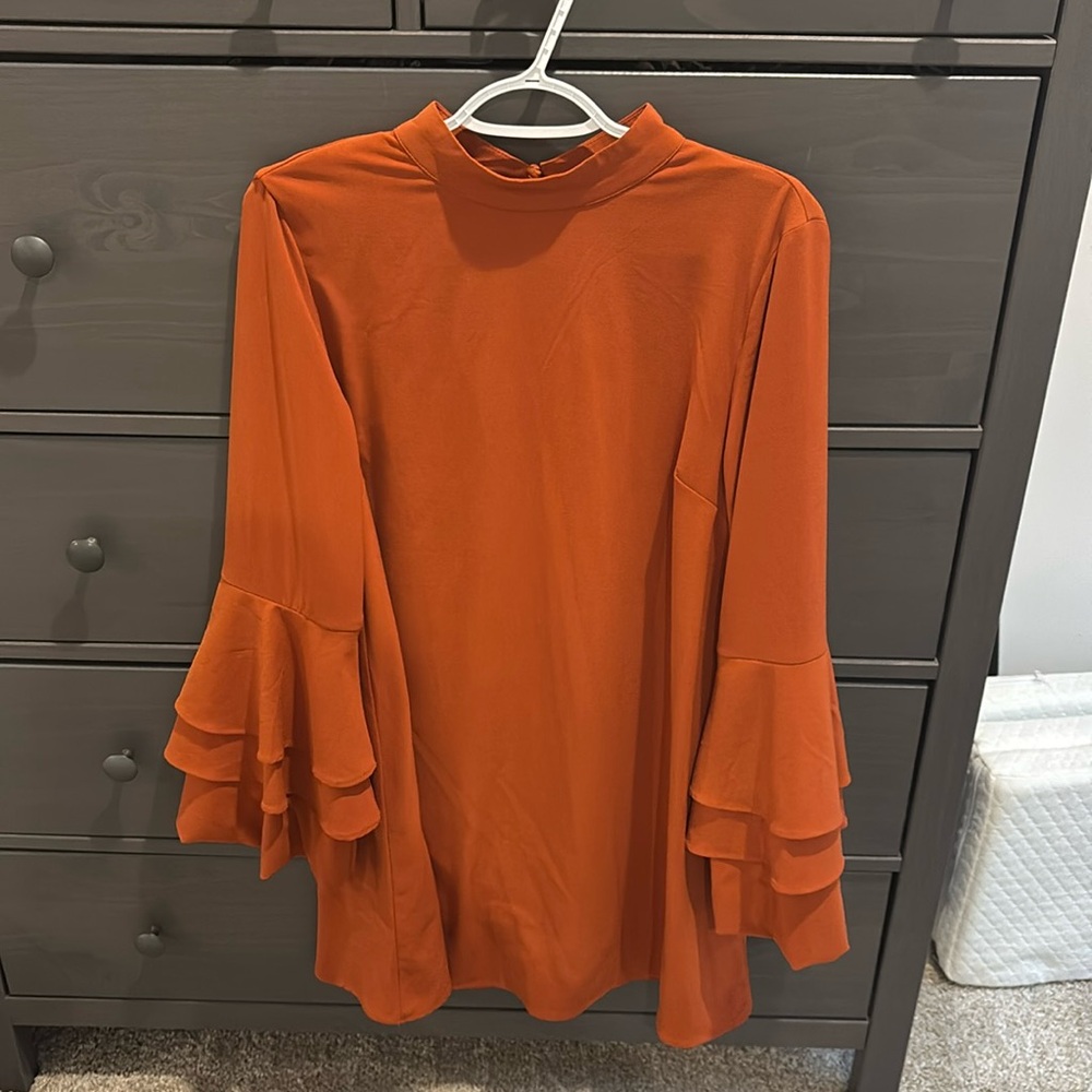 Vestique Rust Medium Dress